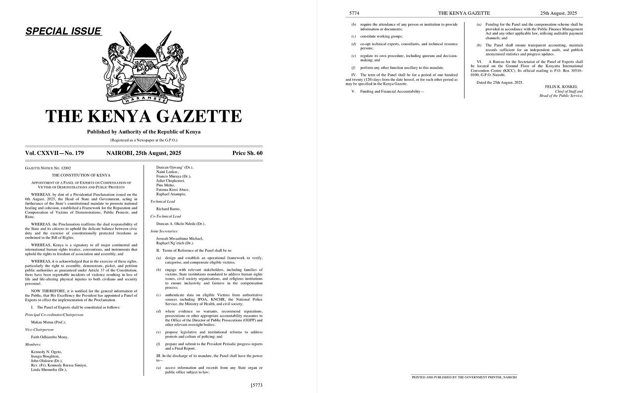 Govt Statement on Appointment of Panel for Compensation of Victims of Demonstrations and Public Protests