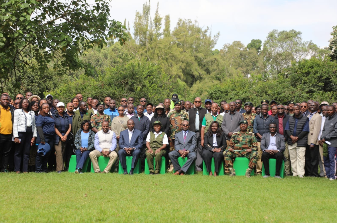 CBK Marks 60th Anniversary with Tree Planting at Karura Forest - Image 2