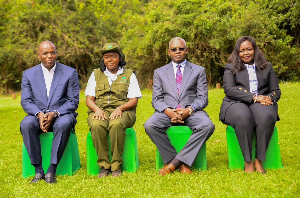 CBK Marks 60th Anniversary with Tree Planting at Karura Forest - Image 3