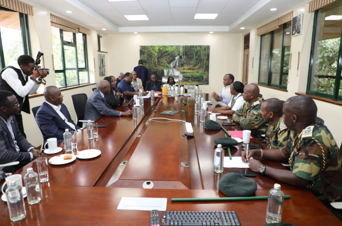 CBK Marks 60th Anniversary with Tree Planting at Karura Forest - Image 4