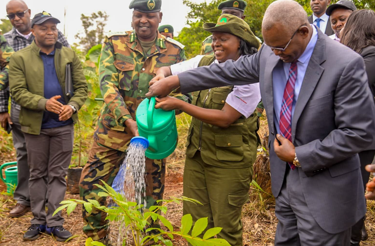 CBK Marks 60th Anniversary with Tree Planting at Karura Forest