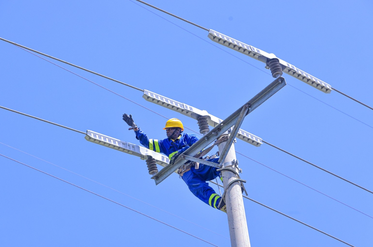Kenya Power and Kaddas Enterprises Partner to Reduce Wildlife Electrocution - Image 1