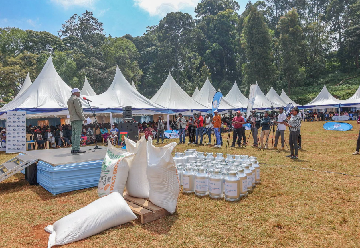 Kenya Produces 5.4 billion litres of milk annually, largest in Africa - Ministry of Agriculture - Image 4