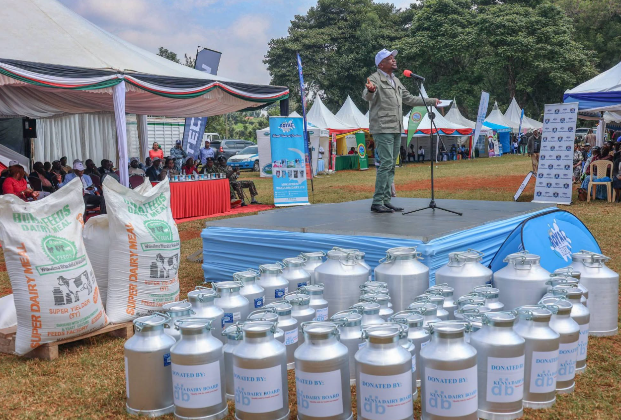 Kenya Produces 5.4 billion litres of milk annually, largest in Africa - Ministry of Agriculture