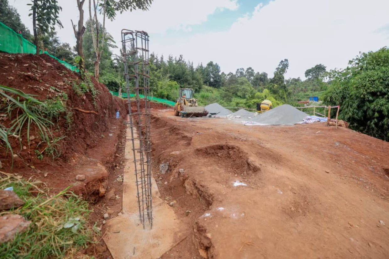 Kimani Ichungwah on Ondiri Wetland Transformation - Image 6