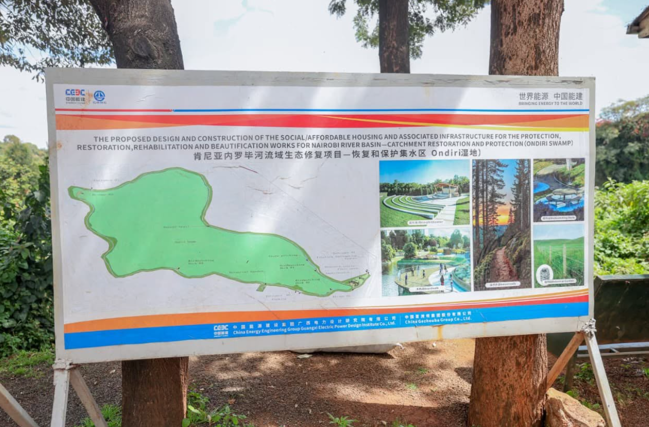 Kimani Ichungwah on Ondiri Wetland Transformation - Image 8