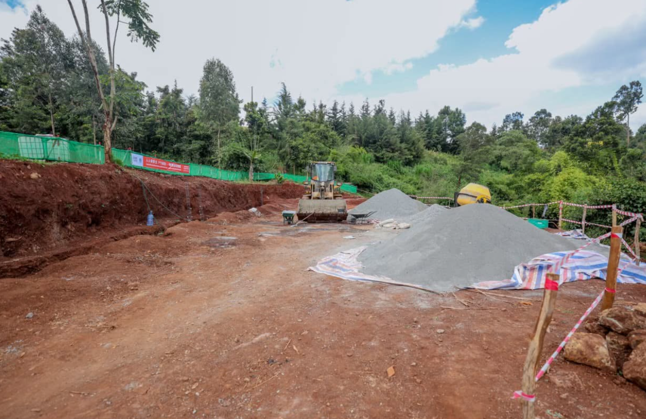 Kimani Ichungwah on Ondiri Wetland Transformation - Image 9